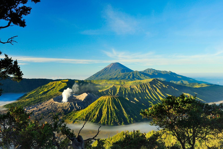 Entdecke den Mount Bromo und den Ijen-Krater in 3 Tagen von Bali aus