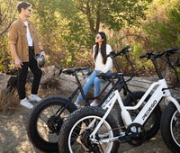 Leesburg, día completo o medio día de alquiler de bicicletas eléctricas - Hizvo