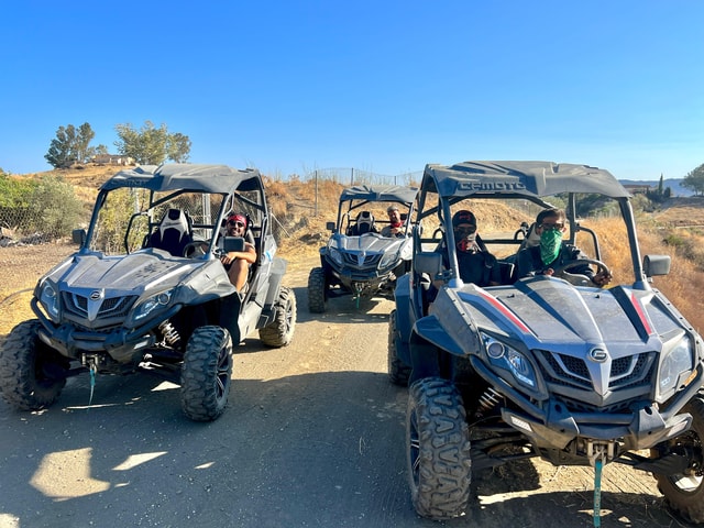 Málaga: Off-Road Buggy Tour in Mijas