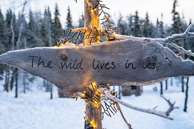 Rovaniemi: Meet Vasco Husky & Enjoy Sled Ride at Husky Farm ⭐ Winter Husky Adventure with Vasco | Jan 1 – Mar 31