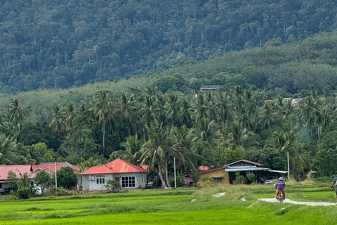 Langkawi: Jet Ski Island Hopping & Countryside Cycling Tour 2 Single Rider + 2 Bicycle Option