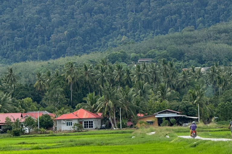 Langkawi: Jet Ski Island Hopping & Countryside Cycling Tour 2 Single Rider + 2 Bicycle Option