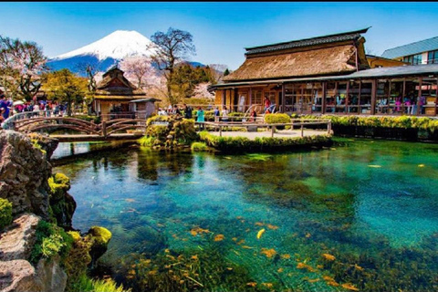 Tokyo: Escursione di un giorno nell&#039;area del Monte Fuji, Oshino Hakkai e Lago KawaguchiTour dalla stazione di Tokyo Punto d&#039;incontro 8:00AM