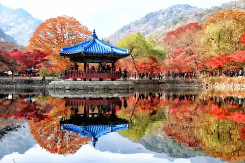 Séoul : Feuillage d'automne - Mt. Naejang + Jeonju Hanok Village