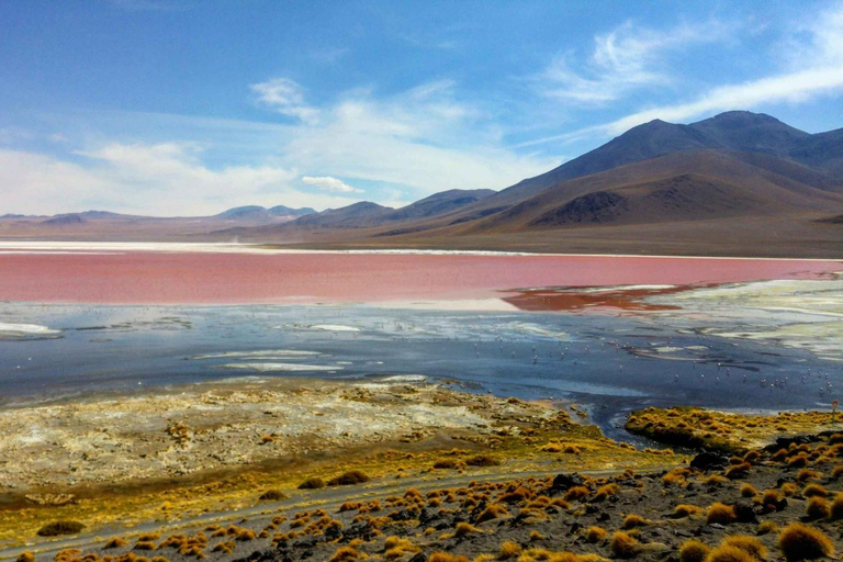 Au départ de San Pedro de Atacama : circuit de 3 jours dans le désert de sel d'Uyuni
