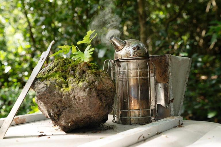 São Miguel: Beekeeping, Honey Tasting & Candle Experience