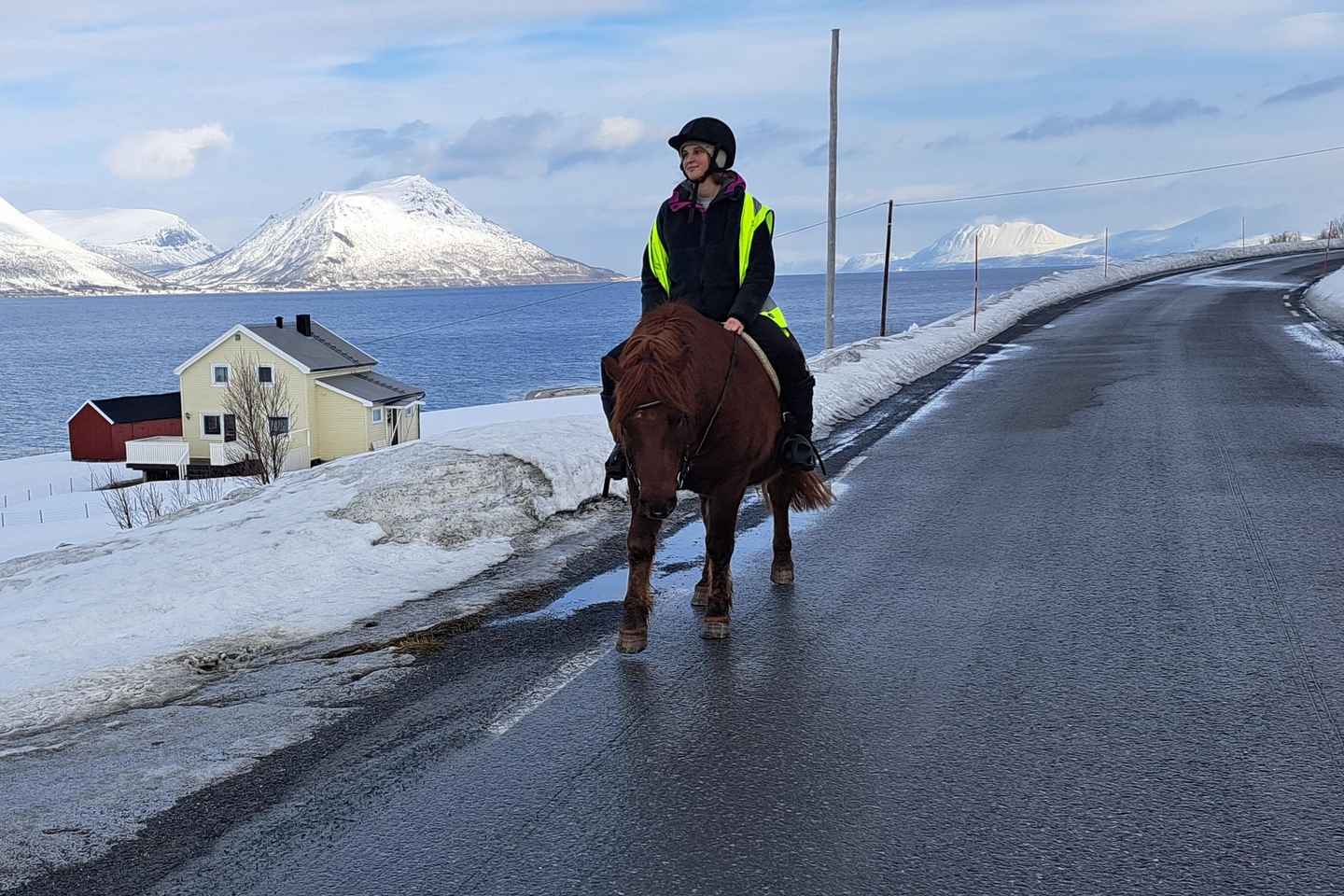 Tromsø: Lyngen Horse Winter Riding Experience