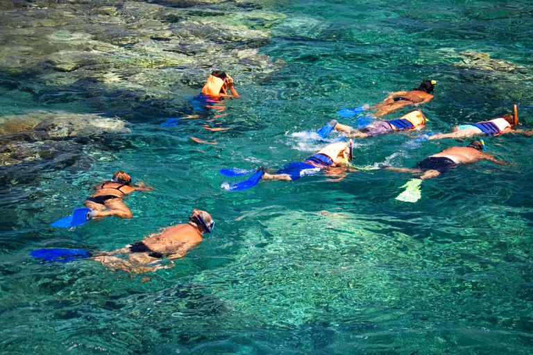Punta Cana: Catalina Island Snorkeling and lunch Day Trip