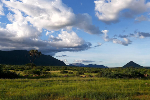 5 Days Highlights of Kenya Exclusive Safari