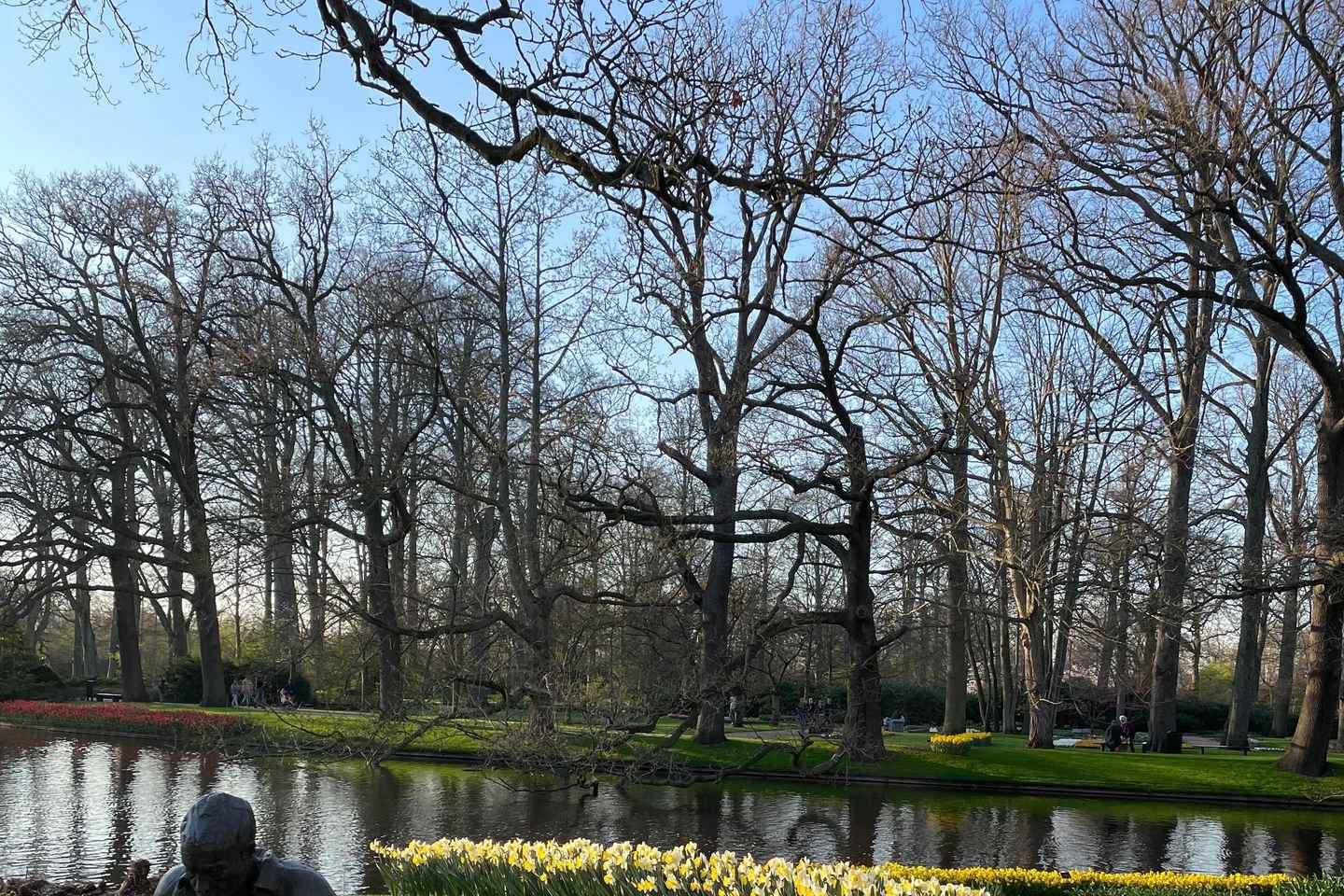 Private Tour, from Amsterdam: Keukenhof & Tulip Fields