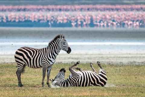 4 – Days Mid-Range Serengeti &amp; Ngorongoro Crater.