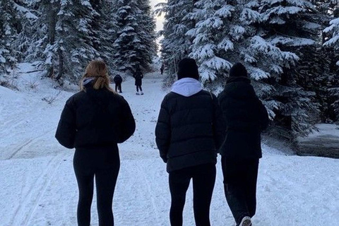 Courchevel: Scenic Walk to Lac de la Rosière
