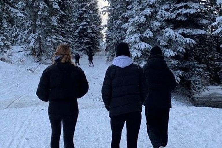 Courchevel: Scenic Walk to Lac de la Rosière