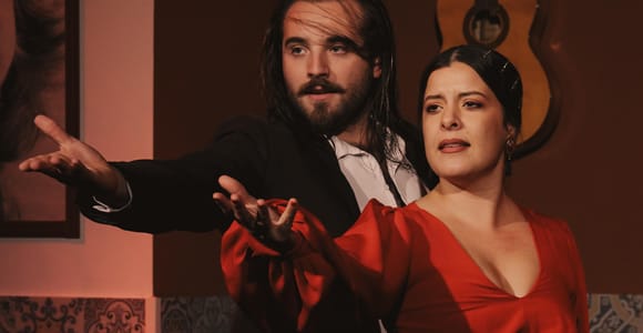 Seville: Flamenco night full of excitement at "Flamenco Las Dueñas"