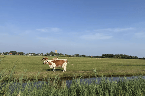Amsterdam: E-Bike, Cheese, Windmill & Countryside Tour