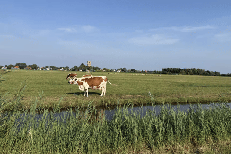 Amsterdam: E-Bike, Cheese, Windmill & Countryside Tour