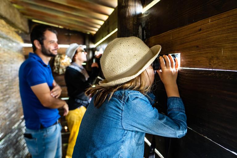 Camargue: Electric Safari with Guide in a private reserve