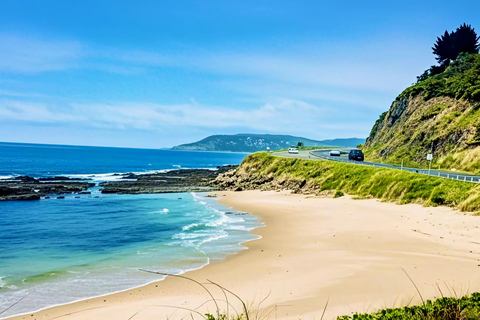 From Melbourne: Great Ocean Road & 12 Apostles Wild Day Tour