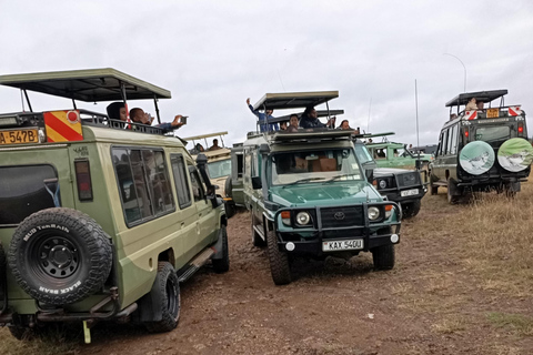 Small Group Nairobi National Park Half-Day Game Drive