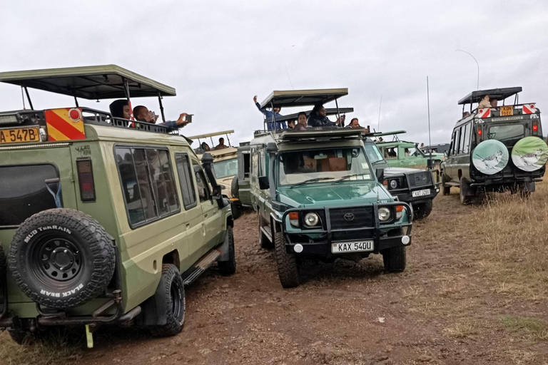 Small Group Nairobi National Park Half-Day Game Drive