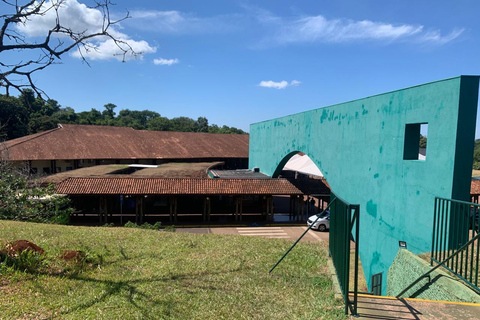 Foz do Iguaçu: Falls, Bird Park, and Macuco Safari Tour