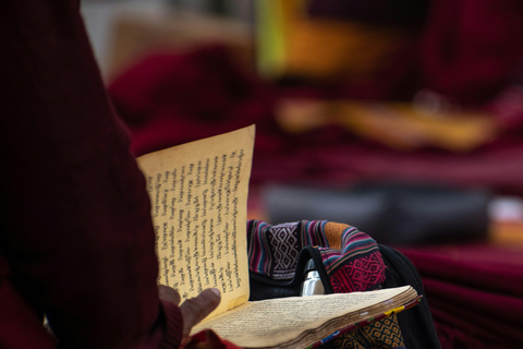 从瓦拉纳西出发：菩提伽耶精神之旅（短途旅行）从瓦拉纳西出发：菩提伽耶一日精神之旅