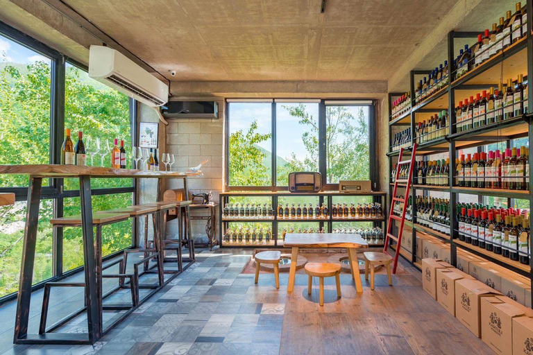 Ananuri, Gudauri and Kazbegi full Day Trip option