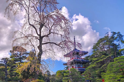 Nikko: 11 Hours' Tour with Licensed English Guide & Car Luxury Extra Spacious Hiace for upto 12 Persons