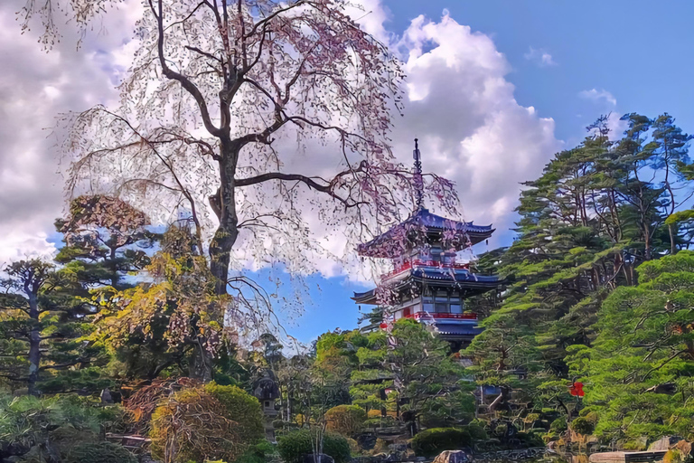 Nikko: 11 Hours' Tour with Licensed English Guide & Car Luxury Extra Spacious Hiace for upto 12 Persons