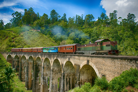 Explorez le charme d&#039;Ella : transfert en tuk tuk au Nine Arch Bridge