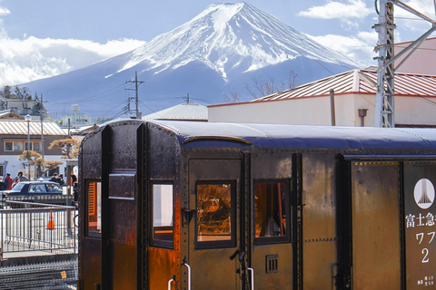 From Tokyo: Mount Fuji Full Day Customizable Private Tour