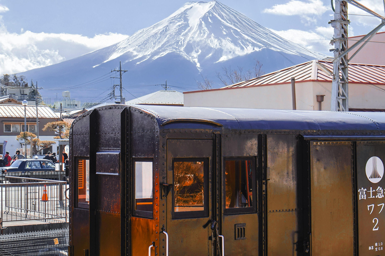 From Tokyo: Mount Fuji Full Day Customizable Private Tour