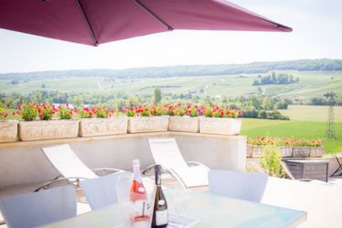 Domaine Bacchus: miniature vineyard & Champagne tasting