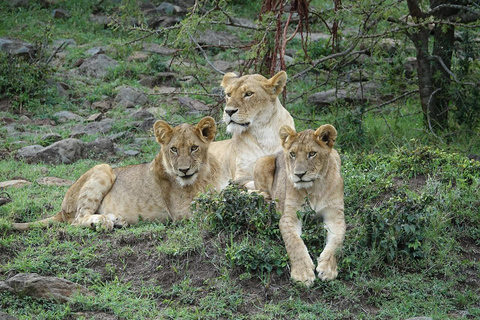 Mombasa: Tsavo East and West 3-Day Private Safari Tour