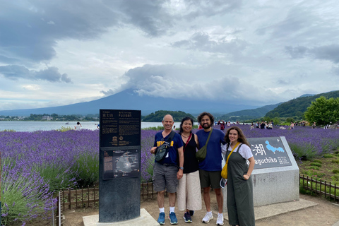 东京：富士山、Tatoo OK 温泉、清酒品尝和 Hoto 午餐