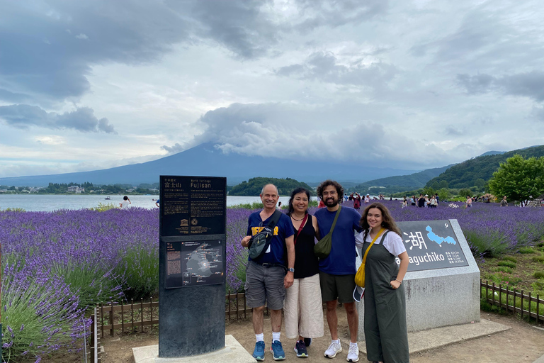 东京：富士山、Tatoo OK 温泉、清酒品尝和 Hoto 午餐