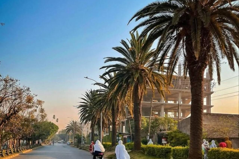 Addis Ababa: Half-Day Hidden Flavors & Culture Tour
