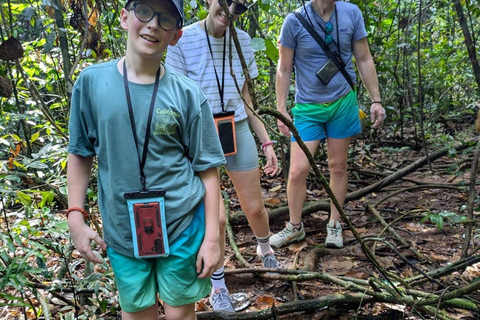 4 Hour Sinharaja Rainforest Tour