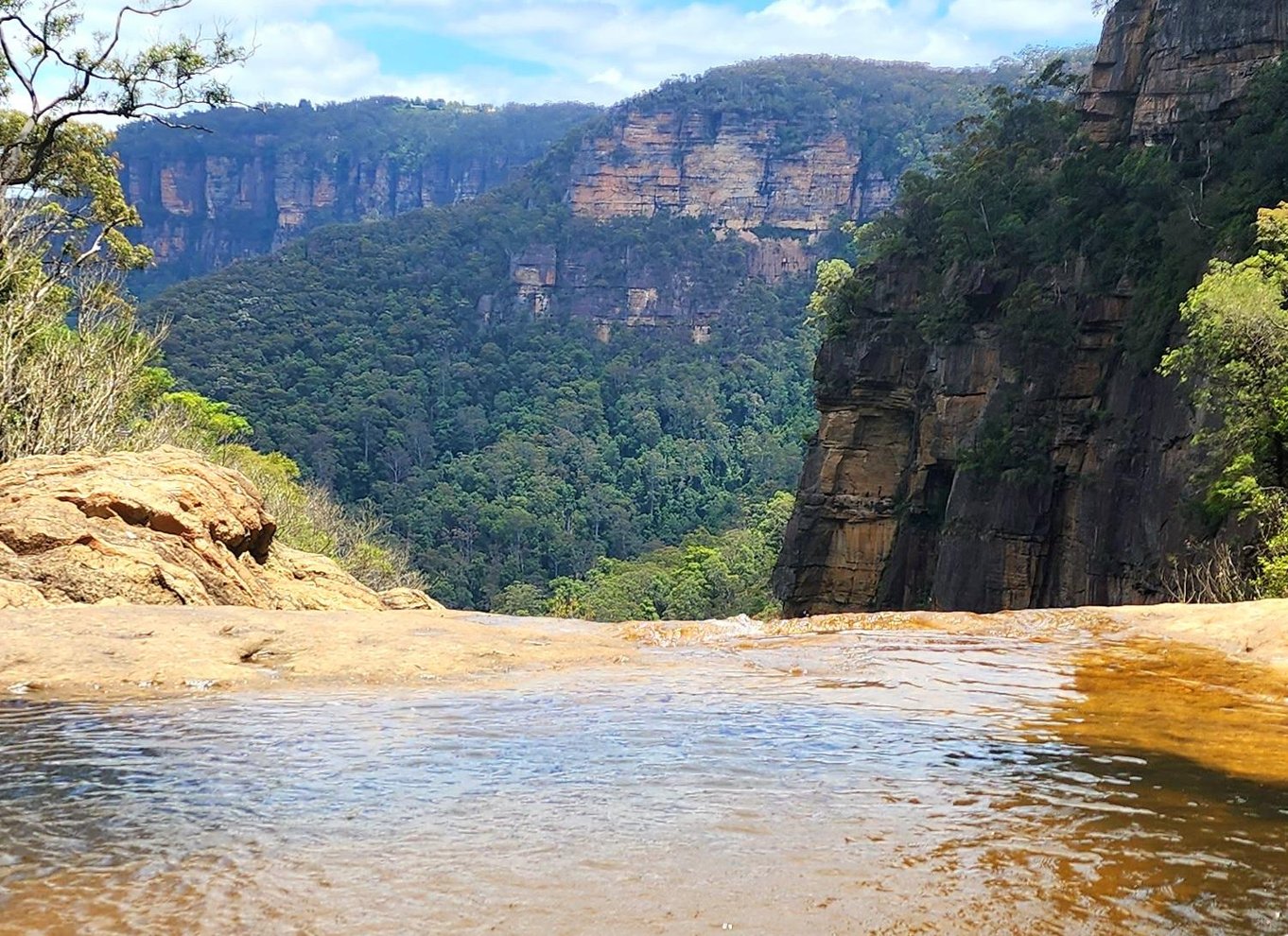 Fra Sydney: Blue Mountains-tur med vandfaldsvandring og frokost