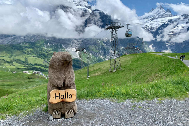 Grindelwald First and Bachalpsee Hiking Tour | From Basel