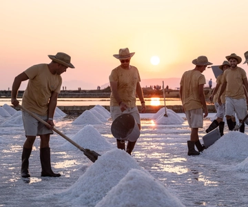 Guided tour of the Trapani Salt Pans and Salt Museum
