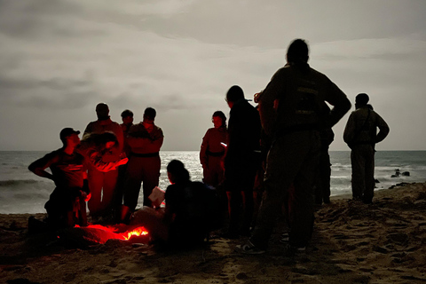 Turtle Watching in Boa Vista (3-Hour)