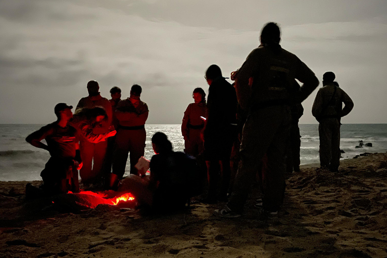 Turtle Watching in Boa Vista (3-Hour)