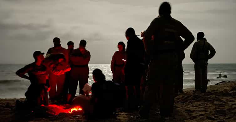 Boa Vista 3h Turtle Watching Expedition GetYourGuide boa-vista-3h-turtle-watching-expedition-getyourguide