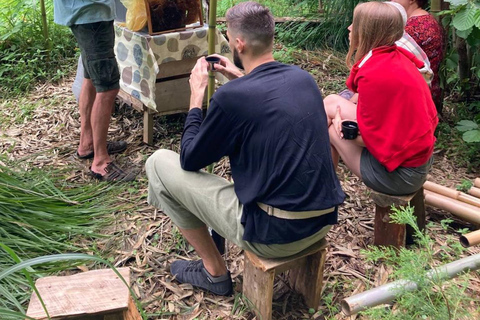 Batumi: Sweet Excursion and Mtirala Forest