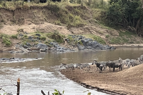 Viaggio di un giorno da Nairobi a Maasai Mara - AWNairobi: Escursione di un giorno nella Riserva Nazionale di Maasai Mara - Privato