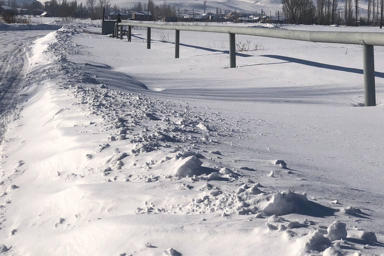 阿拉加茨山全天雪地体验之旅（含导游）