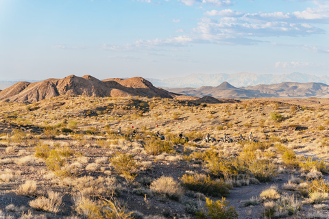 Las Vegas: Geführte Mojave Wüsten ATV Tour