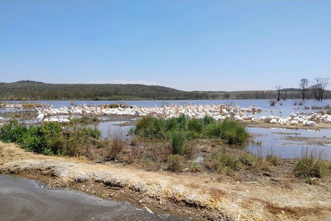 Nairobi:2 Day Hells Gate, Lake Naivasha & Lake Nakuru Safari