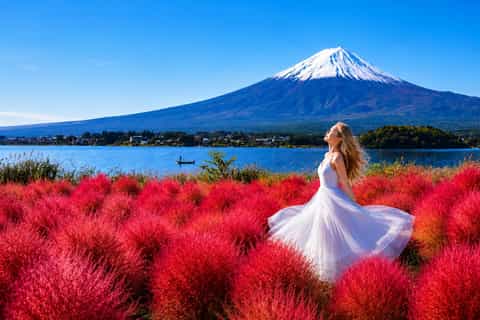 東京発：富士山、大石公園、河口湖、忍野八海 - 2026件（実際の体験者